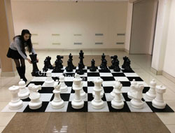 Напольные и гигантские шахматы